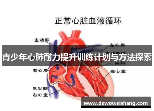 青少年心肺耐力提升训练计划与方法探索